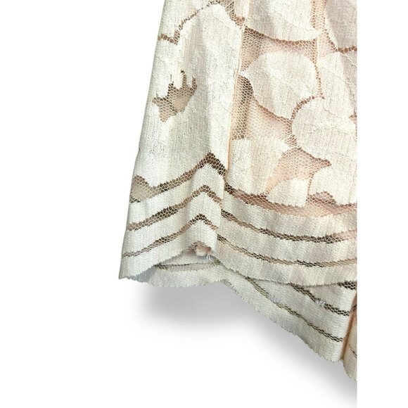 Classic Lace Plus Size Pale Pink Flowy Lined Shorts with Expandable Waist Sz 3X - Picture 2 of 13